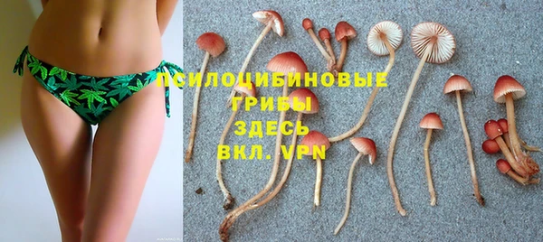 а пвп мука Бородино