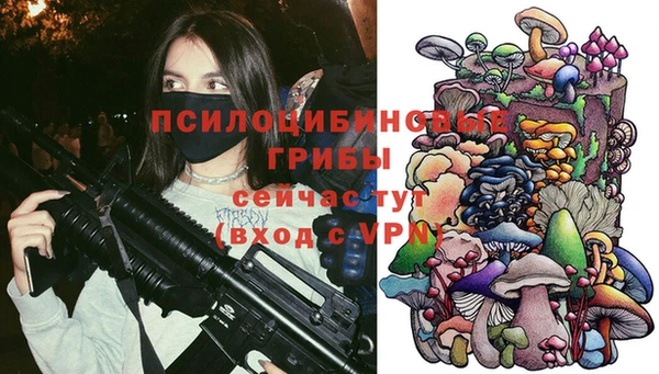 ECSTASY Бронницы