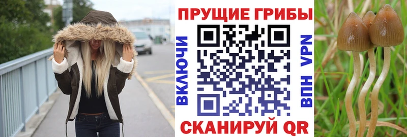 Псилоцибиновые грибы ЛСД  Купить  Свирск 