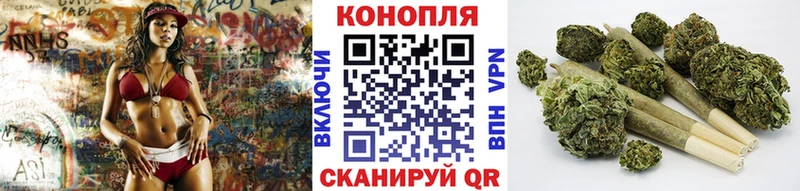 Купить  Свирск  МАРИХУАНА OG Kush 